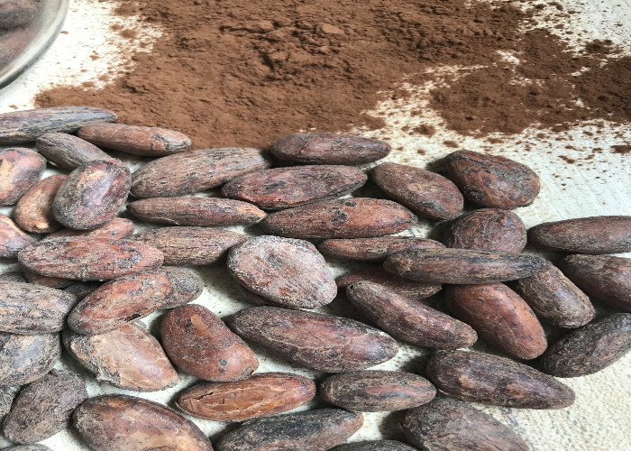 Manteiga de cacau original do produto comestível da graxa, manteiga de cacau orgânica pura para cozinhar